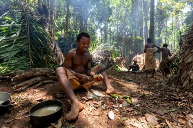 Baka kabilesinden pigme adam yağmur ormanlarında manyok hazırlıyor. Afrika ormanlarının doğal koşullarında geleneksel açık hava yemekleri.