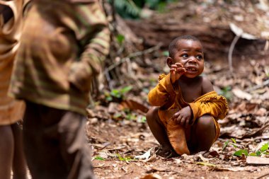 Baka yavrusu orman yapraklarında oturur ve dünyayı seyreder. Orman çocukluğuna ve kabile yaşamına hassas bir bakış..