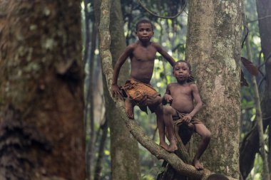 Yağmur ormanlarında iki Baka çocuğu ağaç dallarına oturur. Çocukluk özgürlüğüne ve ormanda oynamaya dair canlı bir bakış..