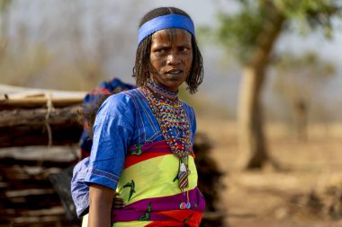 Renkli ambalajlı Mbororo kadını, geleneksel mücevherler ve yüz süslemeleri takıyor, kültürel kimliği ve mirası simgeliyor..