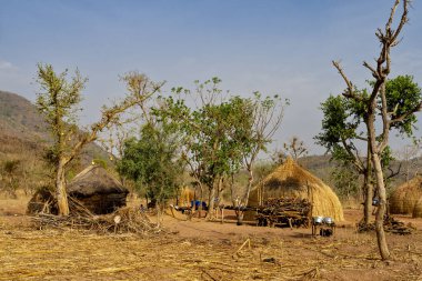 Kamerun 'daki geleneksel Mbororo köyü sazdan kulübelerle ve kuru manzarayla basit kırsal yaşamı doğayla uyum içinde yansıtıyor..