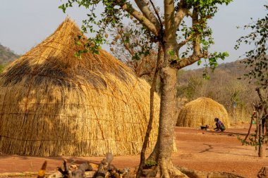 Kamerun 'daki geleneksel Mbororo kulübeleri, otantik köy yaşamını ve doğayla uyumu gösteriyor..