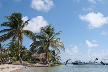 Mahahual Cennet Plajı Quintana Roo Meksika
