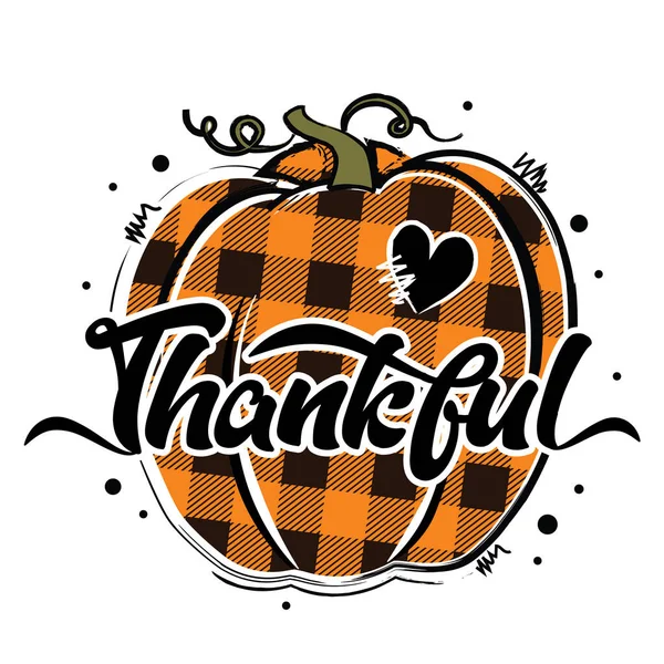 Minnettar Minnettar Kutsanmış Balkabağı vektör çizimi. Portakal ve bufalo ekose kabağı. Mutlu Şükran Günü tasarımı. Tişört, kart, çıkartma, davetiye, poster için iyi.