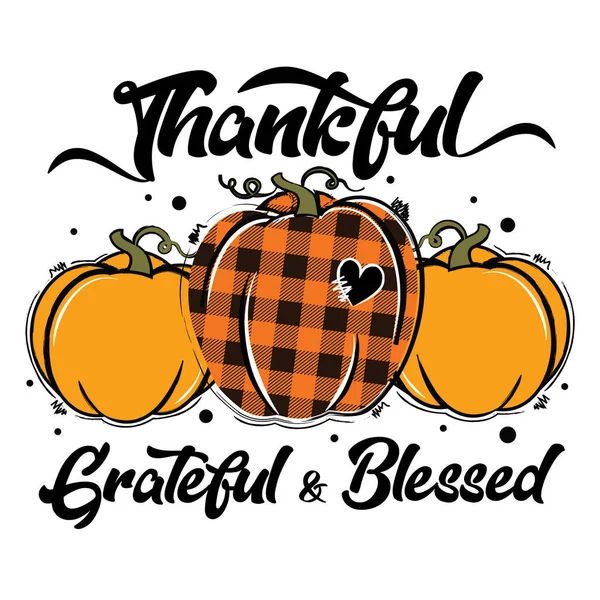 Minnettar Minnettar Kutsanmış Balkabağı vektör çizimi. Portakal ve bufalo ekose kabağı. Mutlu Şükran Günü tasarımı. Tişört, kart, çıkartma, davetiye, poster için iyi.