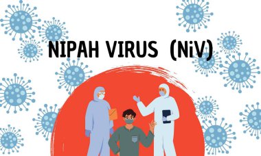 Nipah virüsü (nipah virüsü), hem hayvanlarda hem de insanlarda ciddi hastalıklara yol açan yeni ortaya çıkan bir zoonozdur. Vektör illüstrasyonu 