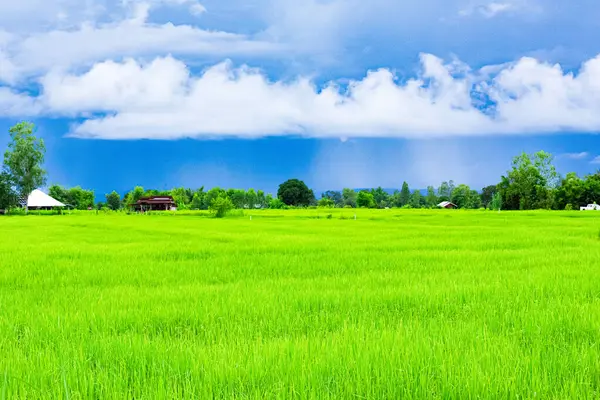 Manzara taze yeşil ağaçlarla doğal bir atmosfere sahiptir. Yağmurdan sonraki atmosferde yüzen beyaz bulutlar var. Güzel renkli bir gökyüzü var. Ziyaret etmek için çok hoş bir ortam.