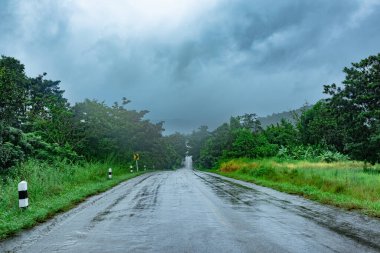 Yolun her iki tarafında da yeşil ormanlar var. Yağmur yağarken, karanlık gökyüzü manzarası var, hava temiz, Tayland 'da çok güzel doğa var..