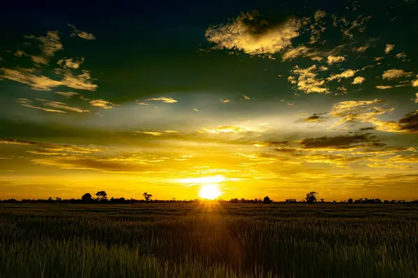 Manzara taze yeşil ağaçlarla doğal bir atmosfere sahiptir. Yağmurdan sonraki atmosferde yüzen beyaz bulutlar var. Güzel renkli bir gökyüzü var. Ziyaret etmek için çok hoş bir ortam.