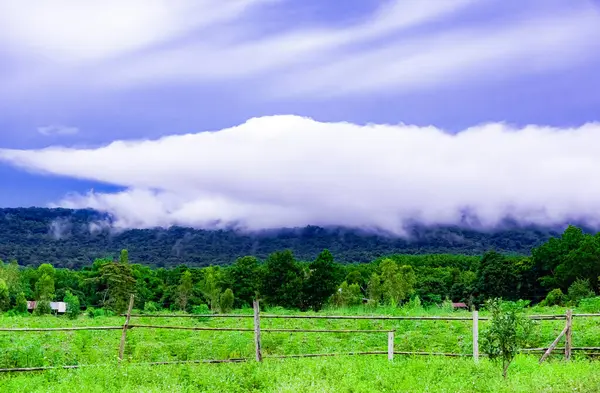 Manzara taze yeşil ağaçlarla doğal bir atmosfere sahiptir. Yağmurdan sonraki atmosferde yüzen beyaz bulutlar var. Güzel renkli bir gökyüzü var. Ziyaret etmek için çok hoş bir ortam.