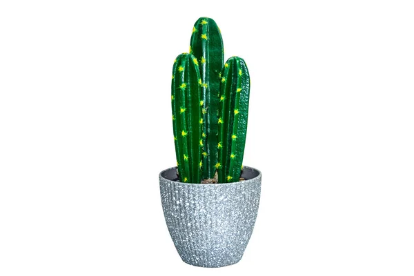 Gri bir tencerede ölü bir kaktüsün resmi. beyaz arkaplan istediğimiz her türlü uygulamada kullanıma elverişli çeşitli sanat eserleri için kullanılır. Çok güzel bir resim. İzlemek kendini yenilenmiş hissettiriyor. Neşeli ve mutlu.