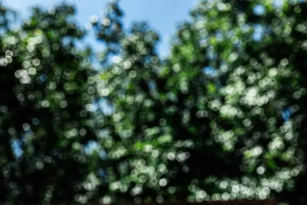 Bulanık bokeh arkaplan, güzel renkler