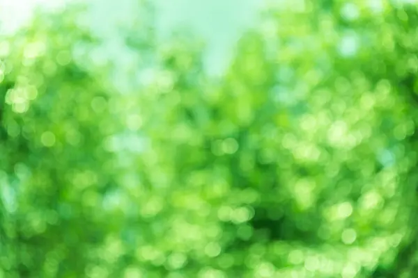 Bulanık arkaplan, bokeh, yeşil ve beyaz