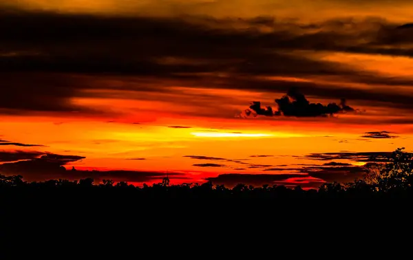 Altın bulutlar, akşam vakti altın güneş alacakaranlık ağaçları ve bulutlu gökyüzü güneş battığında doğa çok güzeldir.