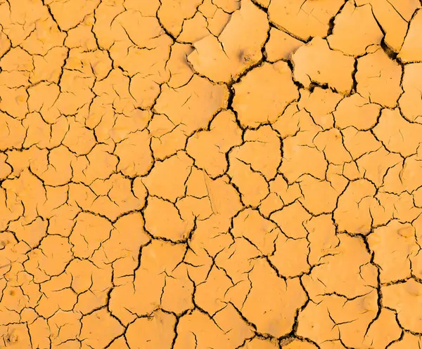 Arka plan: Güzel bahçemde kuru zemin