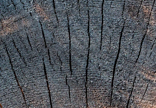 Çeşitli amaçlar için kullanılabilen güzel doğal ahşap desenli bir fon.