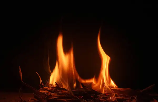 Arka bahçemde şenlik ateşi. Kamp yapıyoruz.