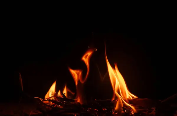 Arka bahçemde şenlik ateşi. Kamp yapıyoruz..