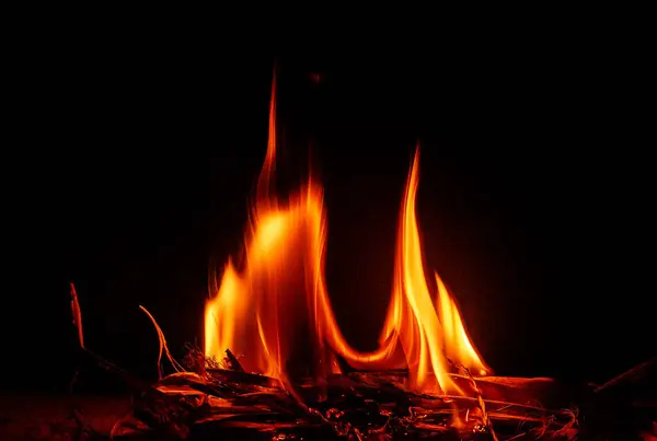 Arka bahçemde şenlik ateşi. Kamp yapıyoruz..