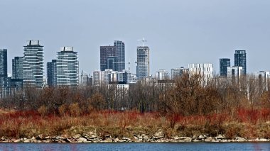 Tommy Thompson Parkı 'nın daha vahşi köşelerinden Toronto' nun çelik ve cam silueti görünüyor. İnşaat vinçleri ve yoğun kuleler şehrin dikey hırslarını yansıtıyor.