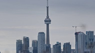 Tommy Thompson Parkı 'nın kenarlarından yakalanan CN Kulesi Toronto' nun üstündeki gökyüzünü delip geçer. Yumuşak kış tonları ve ön plandaki ağaçlar şehrin cam ve büyümeden oluşan karışımını vurgular.