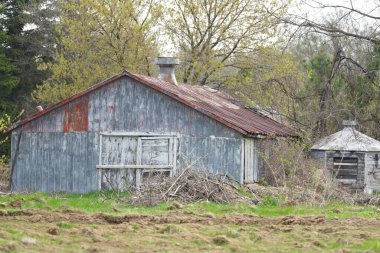 Bacası ve beyaz kapısı olan eski bir ahır. Ahır ağaçlar ve otlarla çevrili.
