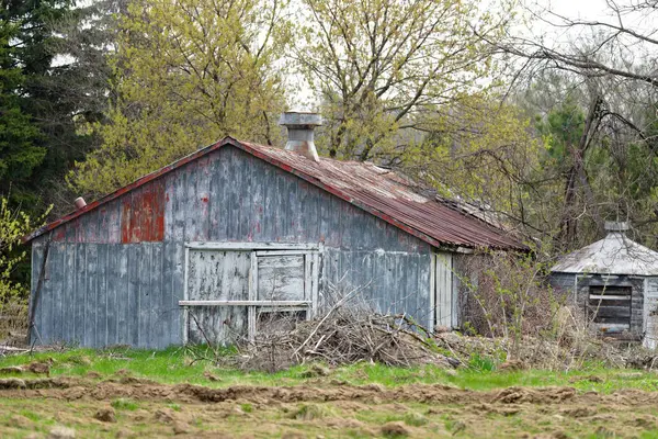 Kırmızı çatılı ve bacalı eski bir ahır. Ahır ağaçlar ve otlarla çevrili.