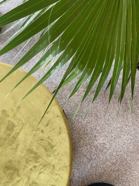 Yeşil yapraklı arkaplan