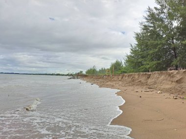 Sahilde deniz ve dalgalar