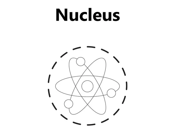 Atom Bilimsel posteri atomik yapıda: proton ve nötronların çekirdeği, yörüngesel elektronlar. Vektör çizimi. Nükleer enerji, bilimsel araştırma ve moleküler kimyanın sembolü..