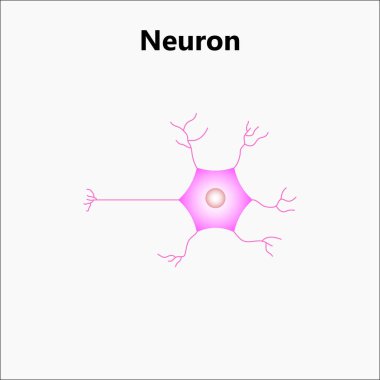 Moleküler soyut yapı arka planı. Molekül DNA 'lı bilimsel vektör çizimi. Pankart şablonu veya başlığı için tıbbi, bilim ve teknoloji kavramı.