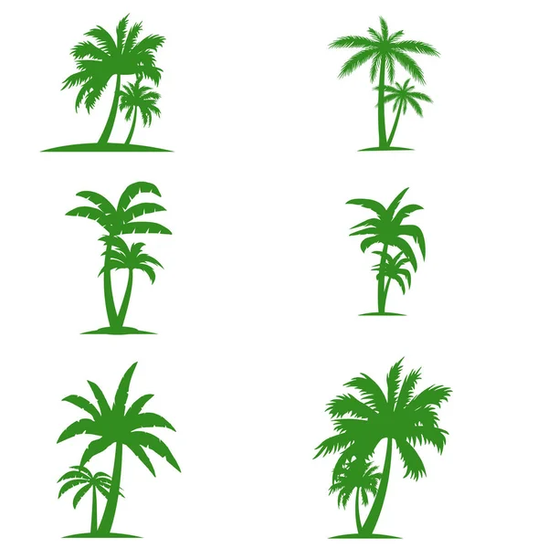 Palmy Izolované Bílém Pozadí Krásné Vektorové Palmy Set Vektorové Ilustrace — Stockový vektor
