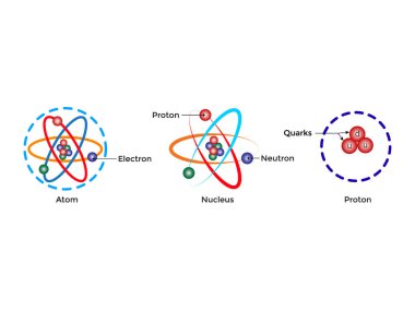 Atom Bilimsel posteri atomik yapıda: proton ve nötronların çekirdeği, yörüngesel elektronlar. Vektör çizimi. Nükleer enerji, bilimsel araştırma ve moleküler kimyanın sembolü.