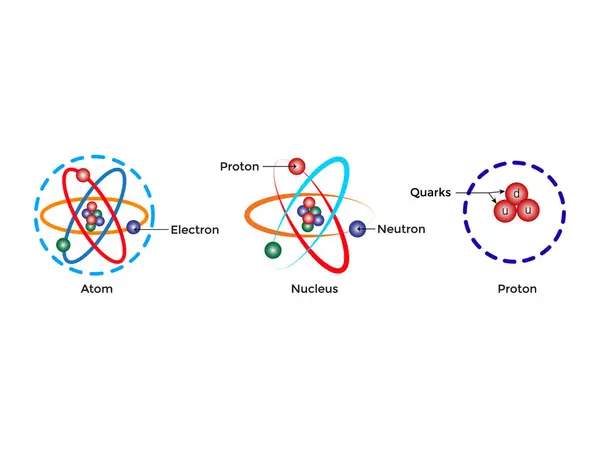 Atom Bilimsel posteri atomik yapıda: proton ve nötronların çekirdeği, yörüngesel elektronlar. Vektör çizimi. Nükleer enerji, bilimsel araştırma ve moleküler kimyanın sembolü.