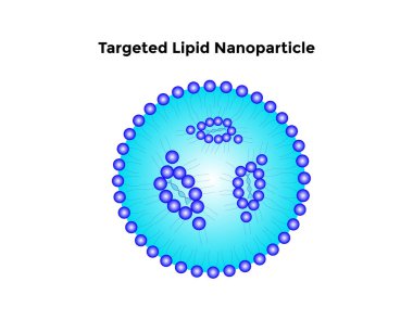 Hedef Lipid Nanoparticle Bilim Tasarım Vektör Tasarımı Çizimi