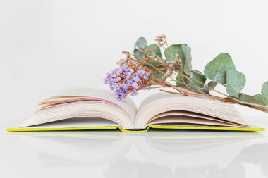 Bahar kompozisyonu. Beyaz arka planda açık kitap ve kurumuş çiçekler. İlkbahar okuma kavramı. 