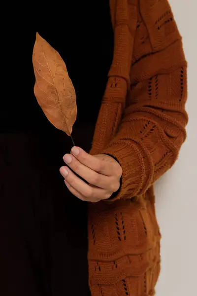 茶色のセーターの若い美しい女性は 手で乾燥した葉を保持しています 秋ファッションコンポジション — ストック写真