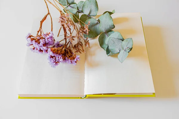 Top Kilátás Nyitott Könyv Szárított Virágok Fehér Alapon — Stock Fotó