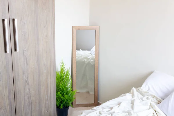 Bed Reflection Mirror Leaning Wall Close Wardrobe Green Houseplant Modern — Stock Photo, Image