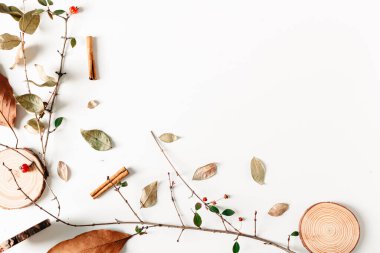 Sonbahar, sonbahar arkaplanı kuru sonbahar yaprakları, klasik kamera filmleri, tahta parçaları, tarçın, beyaz böğürtlen