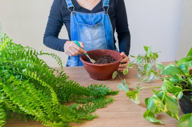 Boa bitkisiyle ilgilenen bir kızın kırpılmış fotoğrafı. 