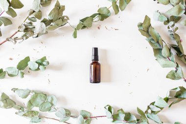 Beyaz arka planda okaliptüs yapraklarından yapılmış yuvarlak çerçeve ve ev spreyi. Düz yatış, üst görünüm.