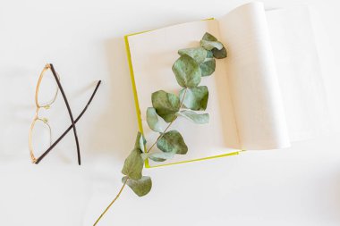 Bahar kompozisyonu. Beyaz arka planda okaliptüs dalı ve gözlüklü kitabı aç. İlkbahar okuma kavramı. 