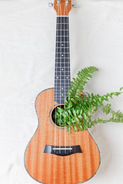 Beyaz arka planda, içinde eğreltiotu yaprakları olan Ukulele. 