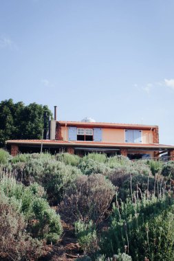 Kırsal, taş duvar ve lavanta mayfield dokusuyla klasik bir bina. Bahar, romantik konsept.