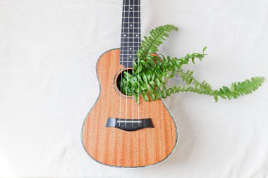 Beyaz arka planda, içinde eğreltiotu yaprakları olan Ukulele. 
