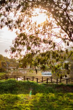 beautiful view of the river in park