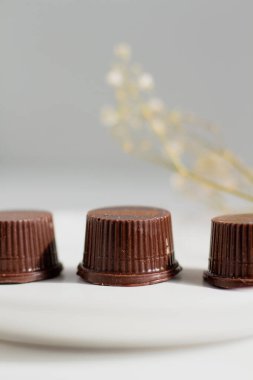 Beyaz arka planda gurme çikolatalı şekerler. Minimalist yemek tasarımı. 