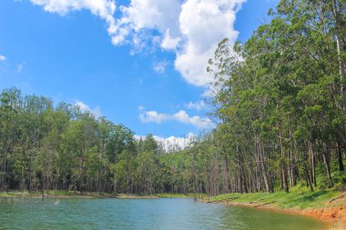 Biritiba Mrim 'de Güzel Güneşli Gün