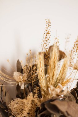 Kurumuş kır çiçekleri beyaz üzerine. 